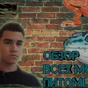 Мои Питомцы