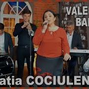 Sirba Cociulenii