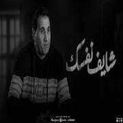 احمد شيبة شايف نفسك وصلت لفين