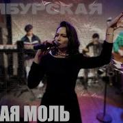 Я Черная Моль Я Летучая Мышь