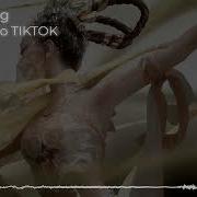 Dancerkino