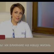 Биоритмы Человека