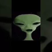 Зип Зип