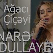 Nar Aqaci Naq Ciceyi