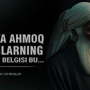 Donolar Bisotidan