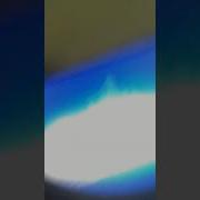 L Accidentally Television