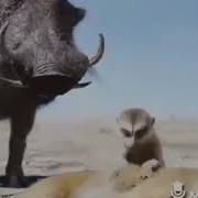 Асемай