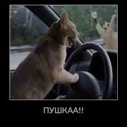 Ало Блять