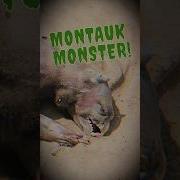 The Prophet The Montauk