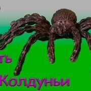 Liska Show Куми Куми