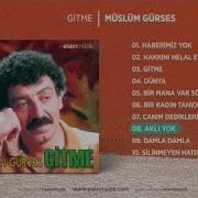 Aklı Yok Fikri Yok