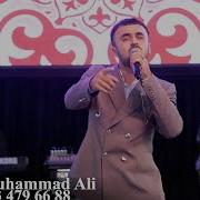 Parviz Muhammad Ali