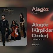 Kirpiyin Oxdur