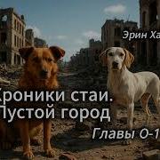 Хроники Стаи