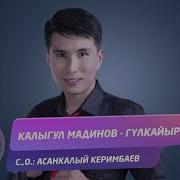 Гүлкайыр