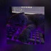 Танцы Nlo Speed Up