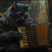 Трек С Котом Тик Ток