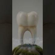 Prup58Fuymm