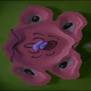 Zoopals G Major 1150