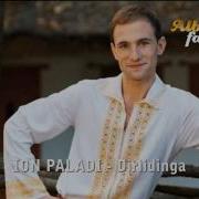 Ion Paladi Dirlidinga