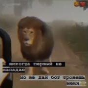 Якун Явма