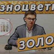Красное Золото