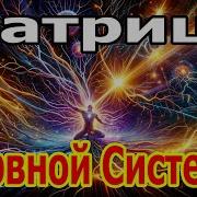 С 1 Минуты Начнется Мощное Исцеление Нервной Системы Матрица Гаряева