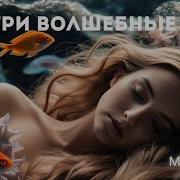 Слово Илая