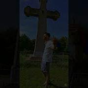 Frunzuliță De Bujor