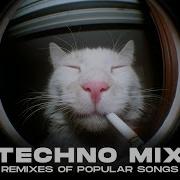 Techno Rave Remix Best