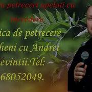Andrei Levintii