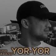 Шоҳини Насими 2025