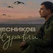 О Колесников Журавли