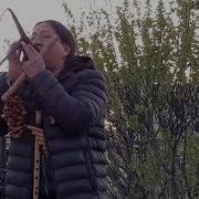Хосе Малис