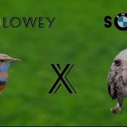 Soloway Feat Sova