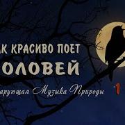 Музыка Овози Булбул На Гудок