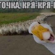 Я Уточка Кря Кря