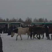 Эрзин Кожуун
