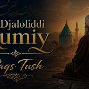 Жалолидини Румий Ракс Туш