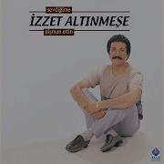 I Zzet Altınmeşeamaney