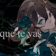 Porque Te Vas Cover