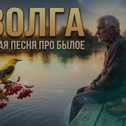 Набожненко Иволга