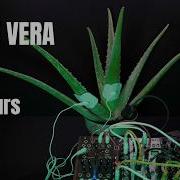 Aloe Music