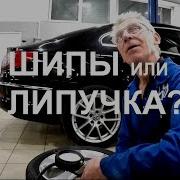 Липучка