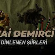 Senai Demirci