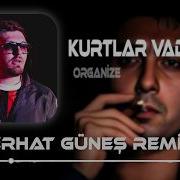 Ferhat Gunes Remix