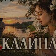 Калина Funk Ai Cover Aicover Ностальгия Эстрада70
