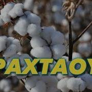 Пахтаой