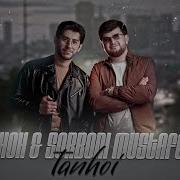 Шох Хамачи Оли Мешава Холи