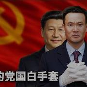 中美对标 白手套